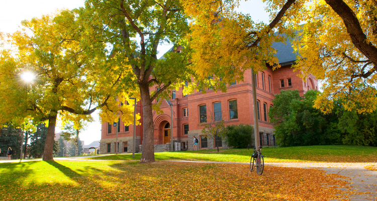 Brightspace by D2L - Brightspace by D2L | Montana State University